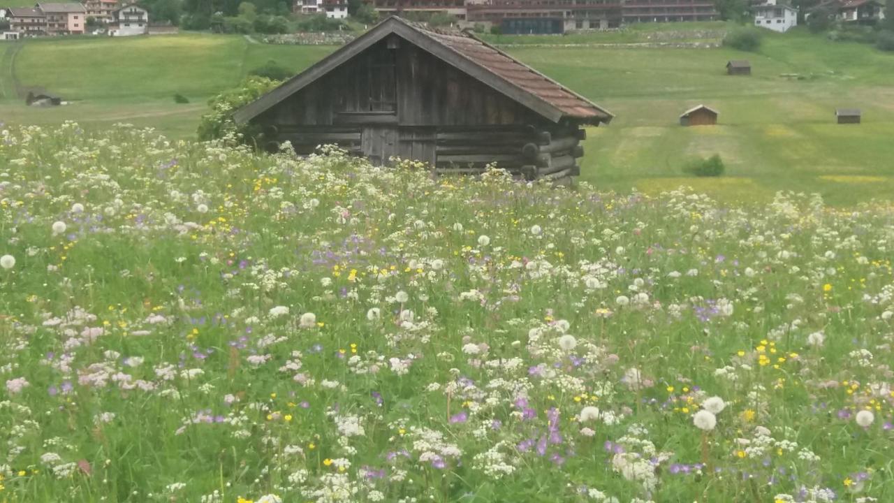 Tyrol Appartements 에르발트 외부 사진